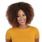 HP-NBS-I222: LACE FRONT PREMIUM CURLY I PART WIG